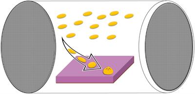 The influence of deoxygenation on Caribbean coral larval settlement and early survival